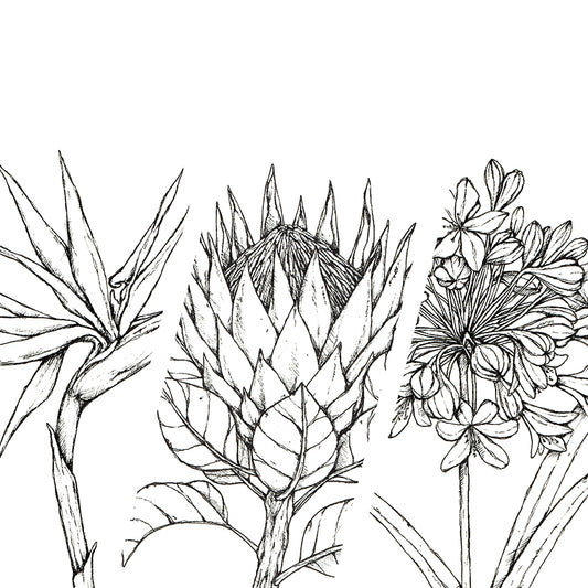 Monochrome Downloadable Wall Art: Set of 3 SA Flowers