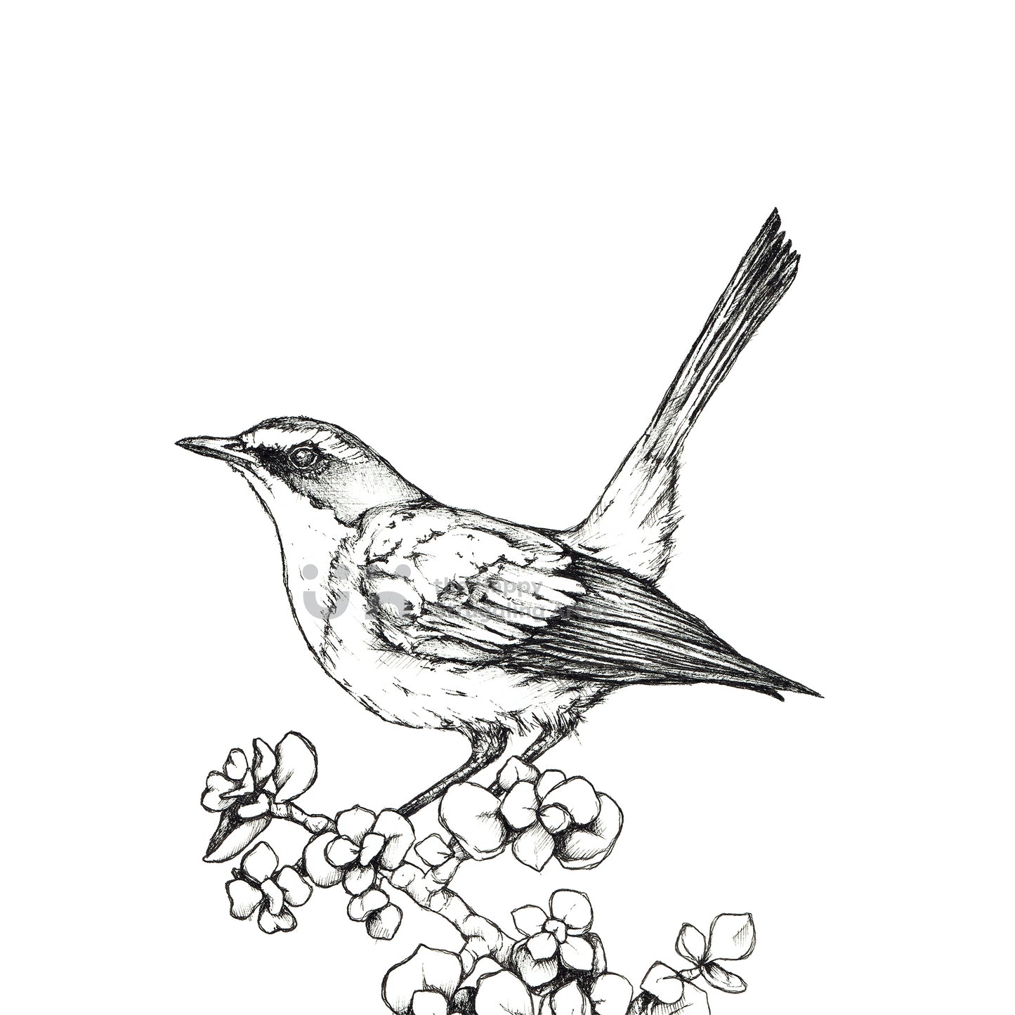 Monochrome Downloadable Wall Art: Set of 3 SA Birds