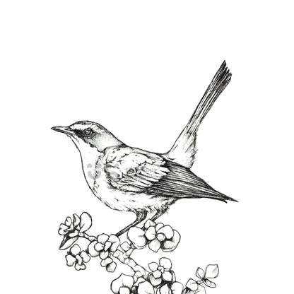 Monochrome Downloadable Wall Art: Set of 3 SA Birds