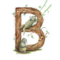 B is for Baboon