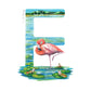 F is for Flamingo