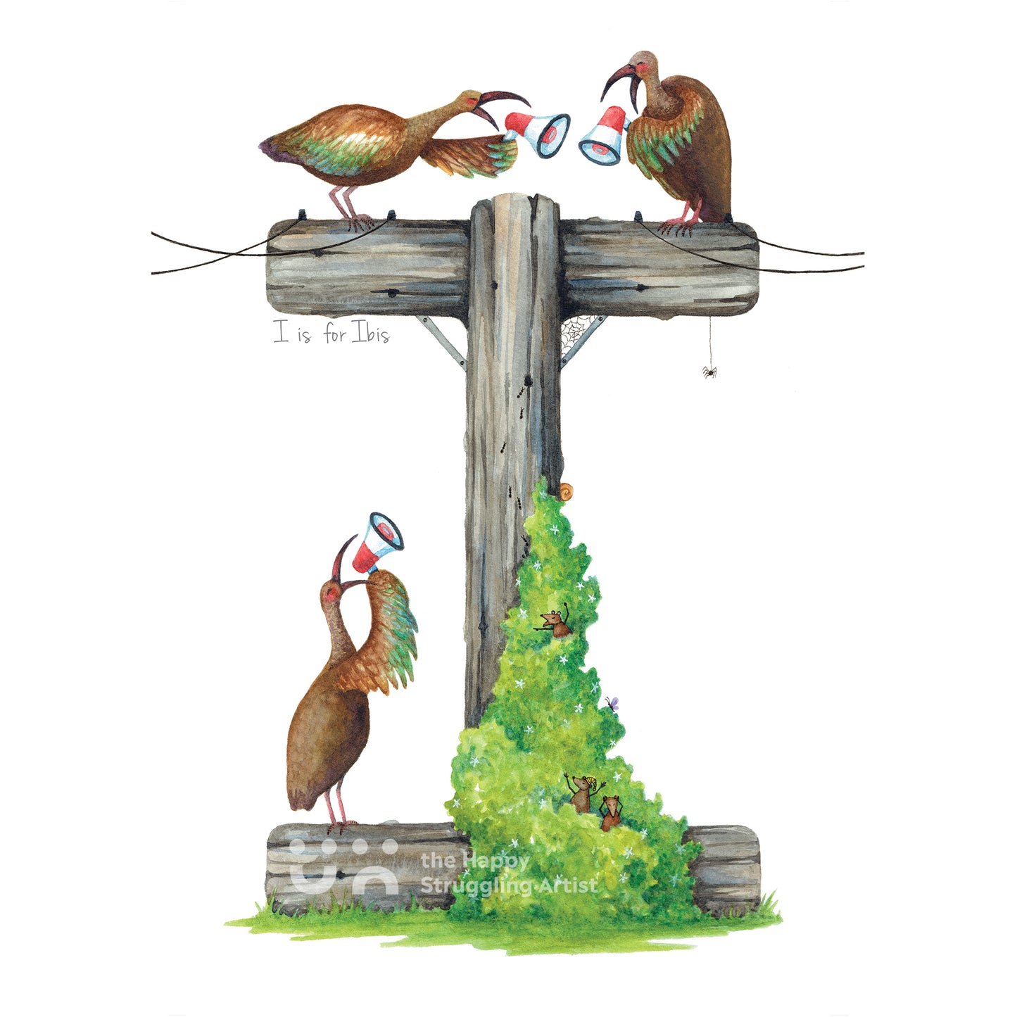 I is for Ibis