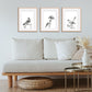 Monochrome Cape Robin-Chat Downloadable Wall Art