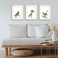 Barbet Downloadable Wall Art