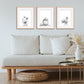 Monochrome Downloadable Wall Art: Set of 3 SA Insects