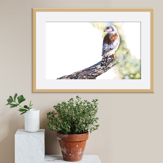 Small Packages (Original)