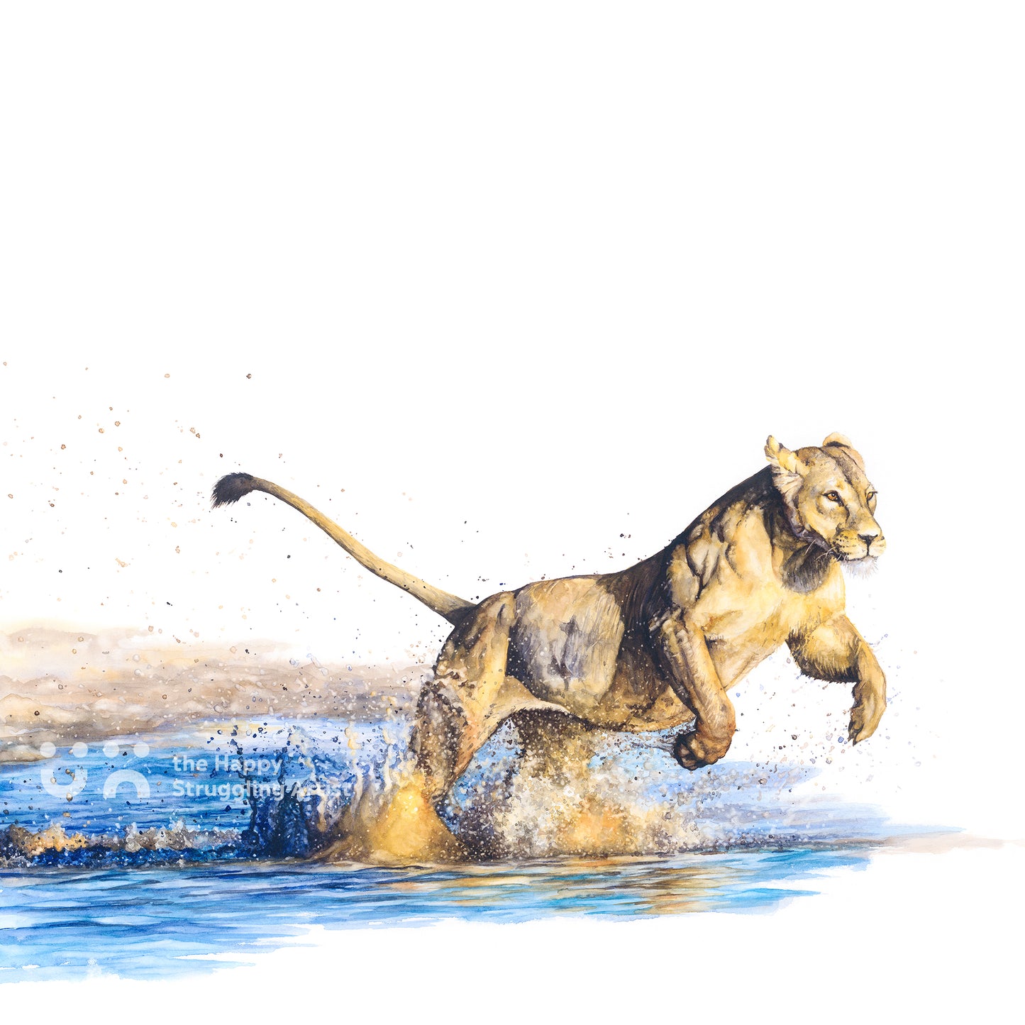 Splash!