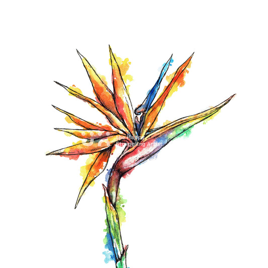 Strelitzia Downloadable Wall Art