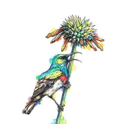 Sunbird Downloadable Wall Art