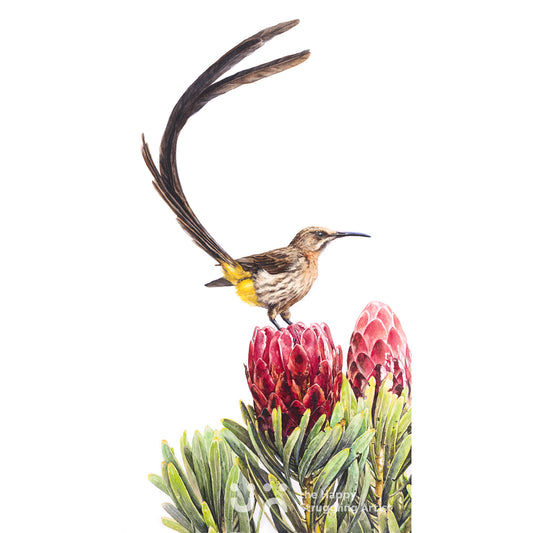 Sweets for my Sweet (Original)