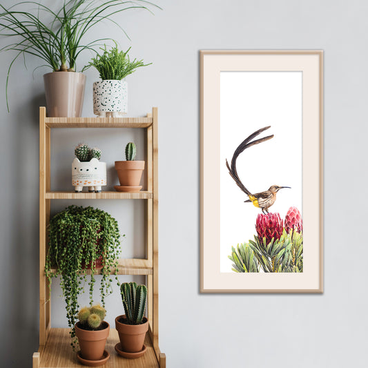 Sweets for my Sweet (Original)