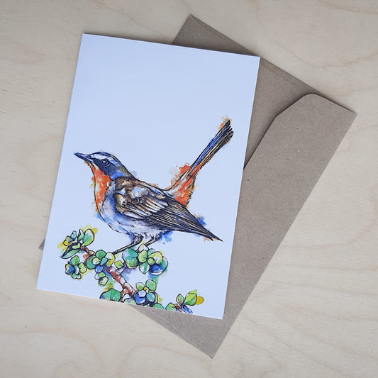 Greeting Card: Cape Robin-Chat