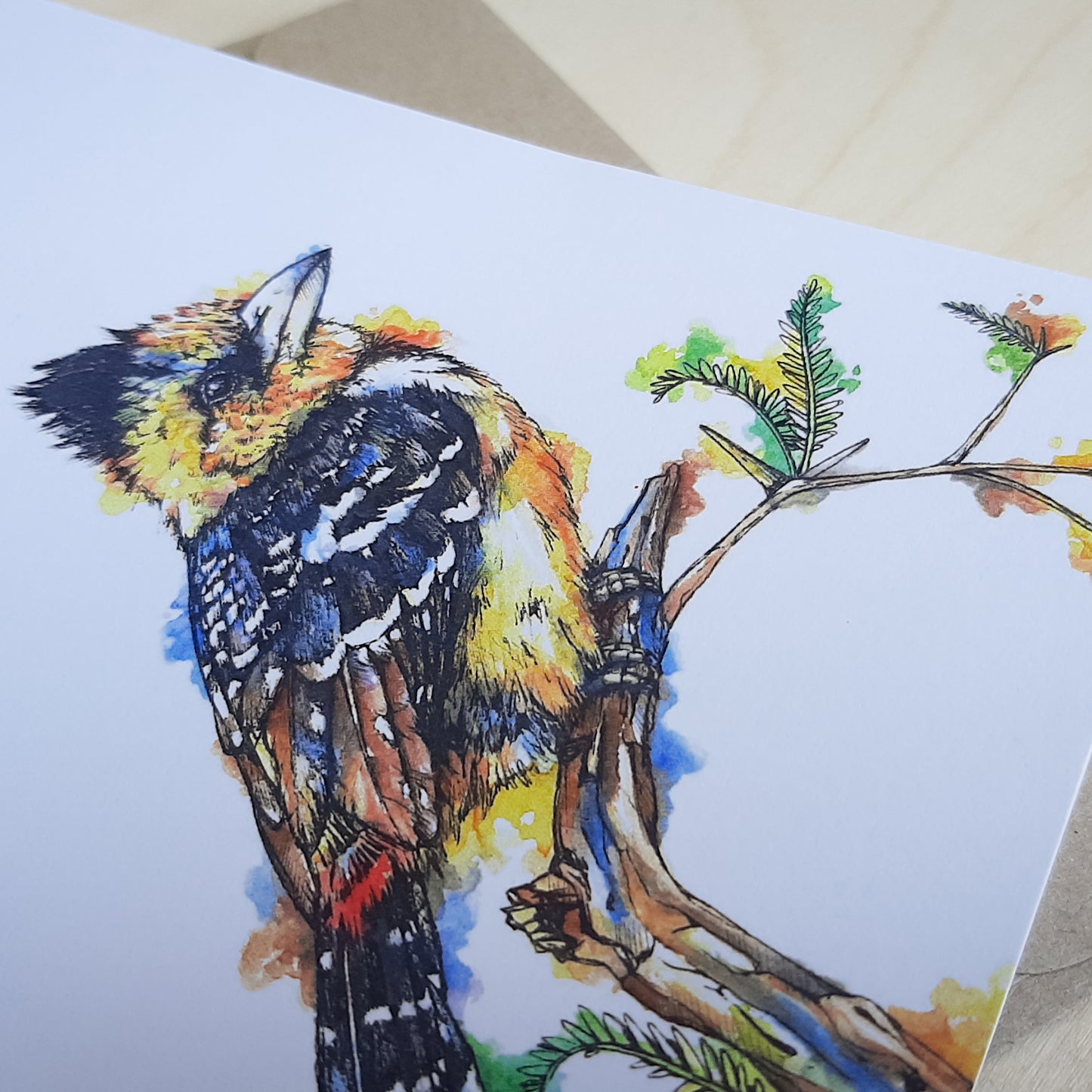 Greeting Card: Crested Barbet