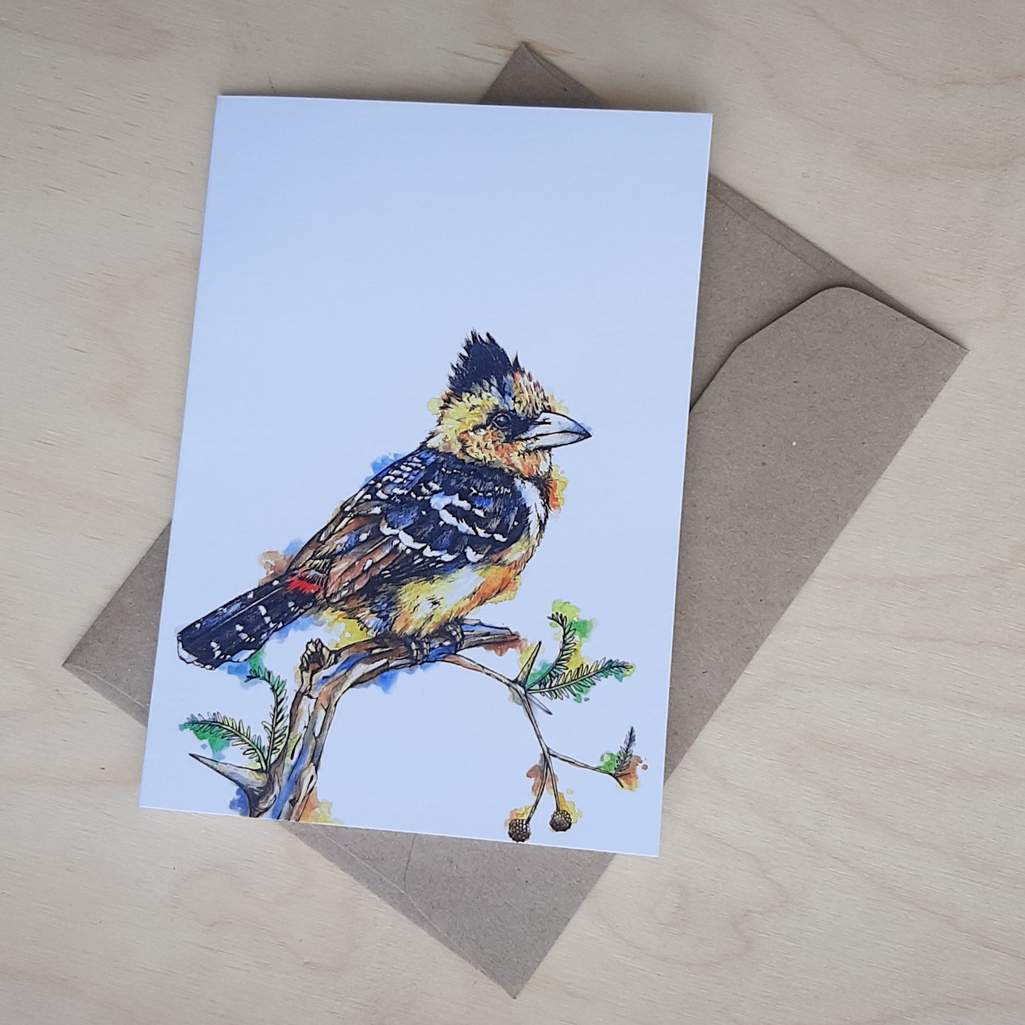 Greeting Card: Crested Barbet