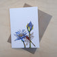 Greeting Card: Dragonfly