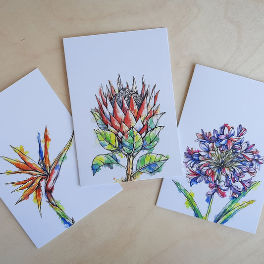 Greeting Cards: 3-Pack